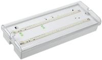 Светильник ДПА 5042-3 аккумулятор 3ч IP65 аварийный универс. подкл. IEK LDPA0-5042-3-65-K01
